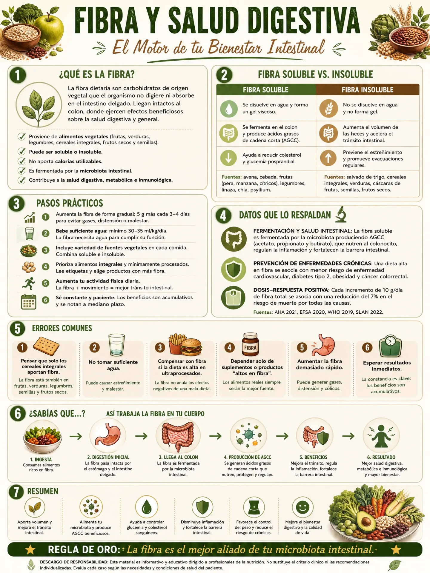 Fibra y Salud Digestiva